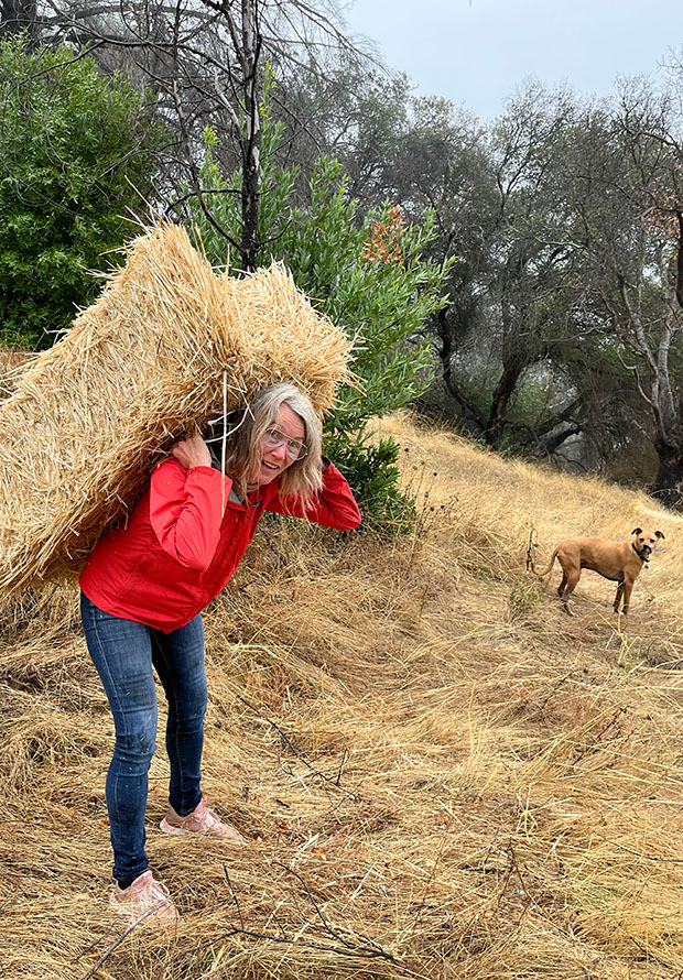 Claire Carrying Bale of Hay