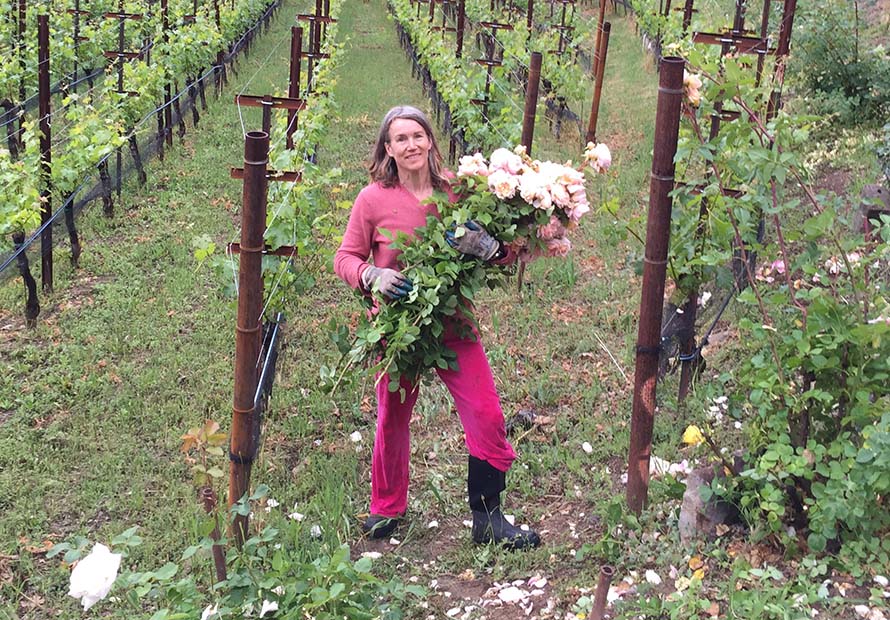Claire with Roses in Vineyard