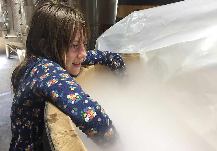 Dry Ice and Early Fermentation